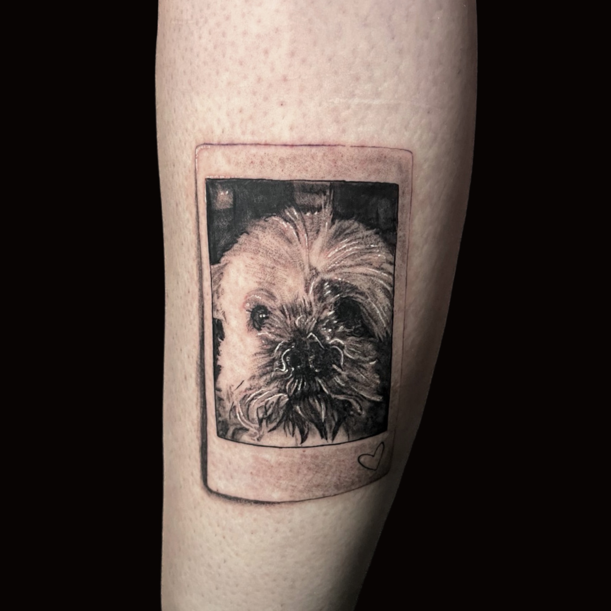Tattoo by Bruno